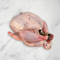 Free Range Bronze Turkey, Fresh, +/-5kg HG Walter TUR-BRO-2611-147