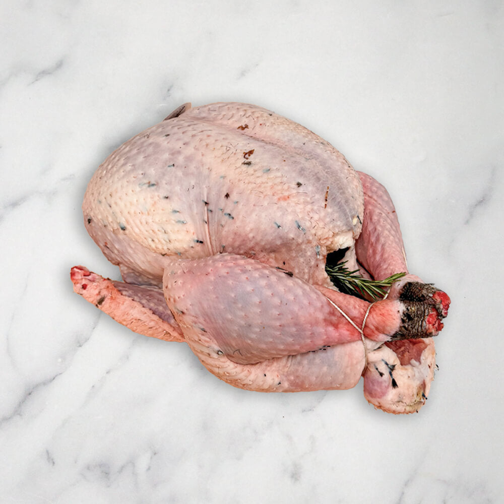 Free Range Bronze Turkey, Fresh, +/-5kg