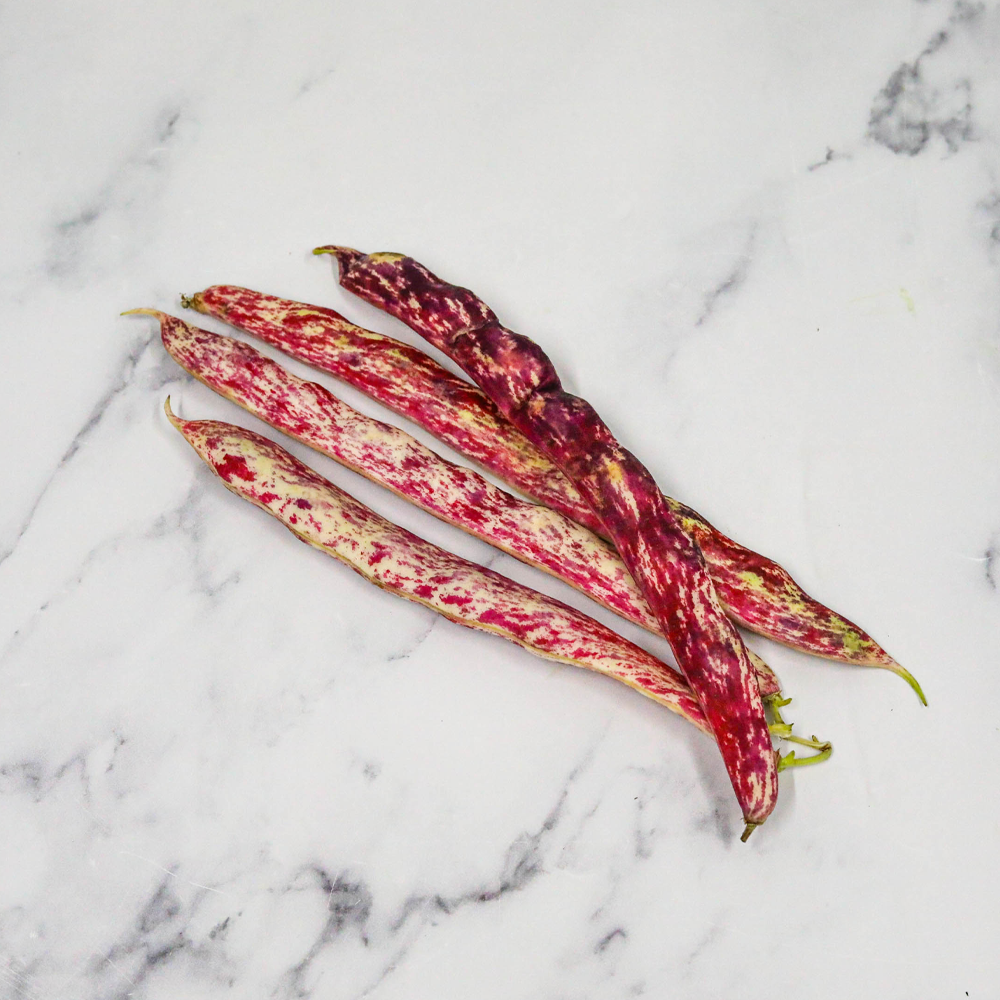 Fresh Borlotti Beans
