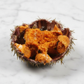 Fresh Sea Urchins, 3kg fine food specialist