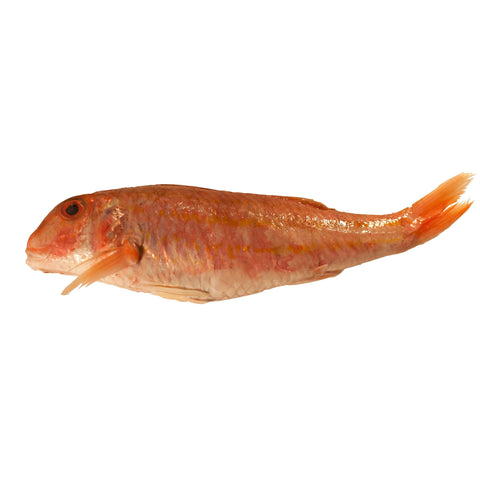 Red Mullet, Fresh, 4 x 300-500g Reach Food Service Ltd SEAF-FRFI-0003512-147