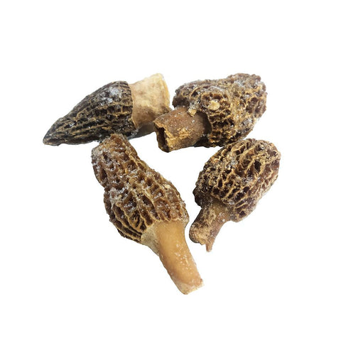 Morel Mushrooms, Frozen, (2-7cm), 1kg Ritter Courivaud Ltd MUSH-FROMU-0000099-148