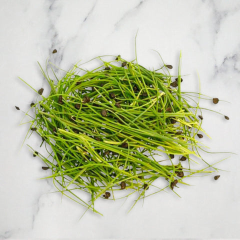 Garlic Chives Micro Herb, 30g Nature's Choice Ltd GRGR-MIHE-0000315-147