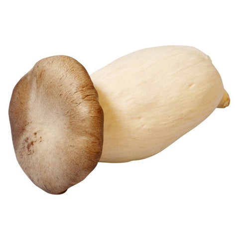 King Oyster Mushrooms, Fresh, 500g Bruce White Ltd MUSH-FRMU-0000323-147