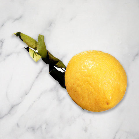 Giant Cedro Lemons, +/-700g (1-2 pieces)