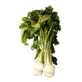 Tokyo Turnips, x 3 Bunches European Salad Company Limited GRGR-SPVG-0002928-147