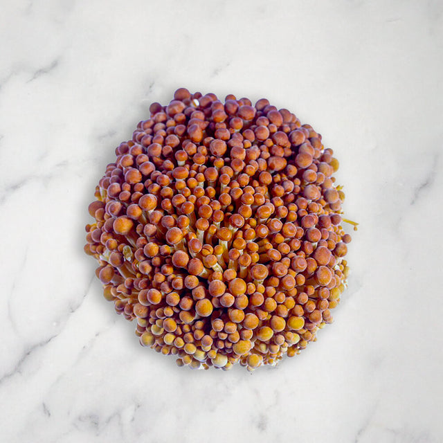 Buy Golden Enoki UK | Fine Food Specialist