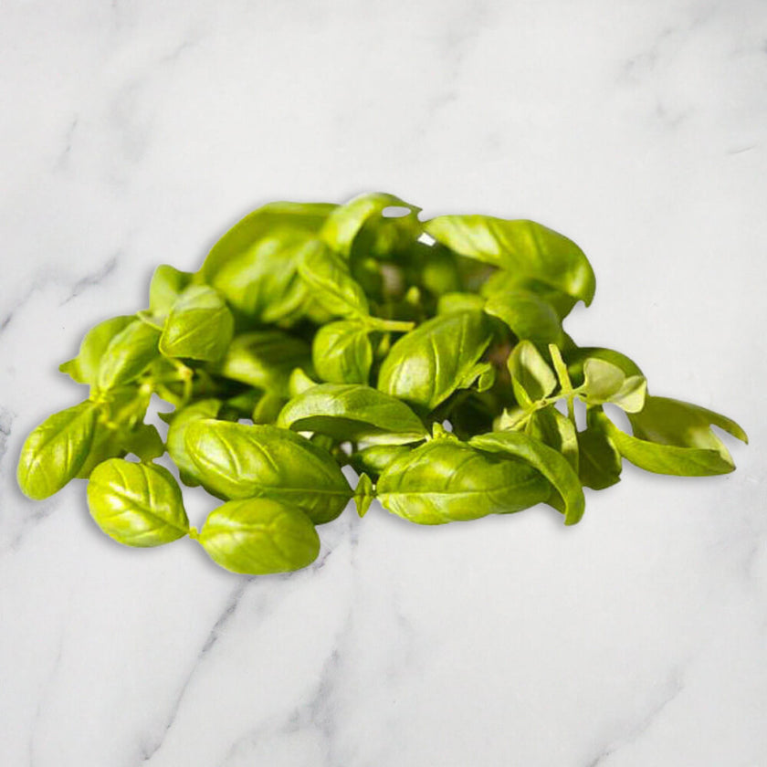 Buy Micro Herbs & Microgreens Online UK – Fine Food Specialist