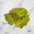 Green Shiso Leaves, 8g Nature's Choice Ltd GRGR-HERB-0001427-147