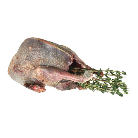 Tender Young Grouse, Oven-Ready, Fresh x 2 HG Walter MEPO-SPEPO-0000719-148