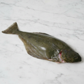 Halibut, Whole & Gutted, Fresh, 3-4kg Reach Food Service Ltd SEAF-FRFI-0000120-147