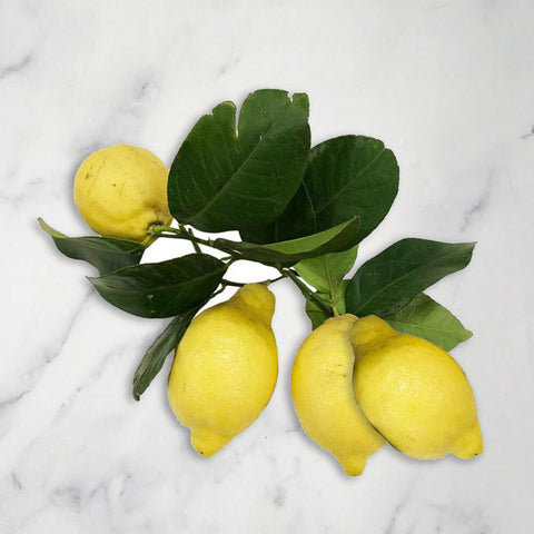 Italian Lemons