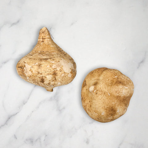 Jicama, 1kg The French Garden Limited JIC-0805-147