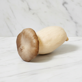 King Oyster Mushrooms, Fresh, 500g Bruce White Ltd MUSH-FRMU-0000323-147