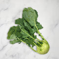 Kohlrabi, x 6 Heads All Greens GRGR-SPVG-0001884-147
