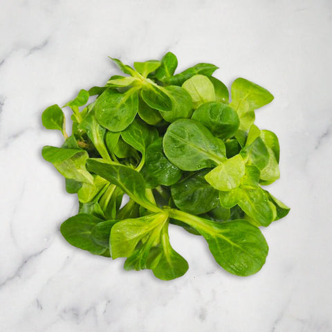 Lamb's Lettuce/Mache, 2 x 150g Nature's Choice Ltd GRGR-SPVG-0003884-147