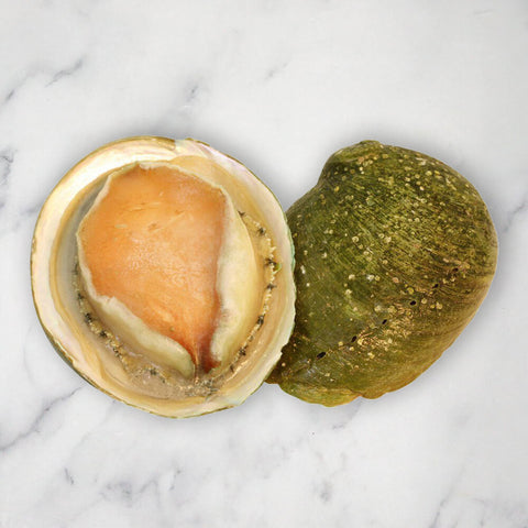 Large Abalone, Frozen, (+/-11cm), 1 Shell, +/-200g