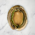 Large Abalone, Frozen, (+/-11cm), 1 Shell, +/-200g Leading Fresh SEAF-FRFS-0002152-148