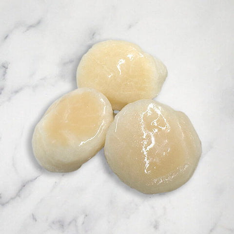 Large Japanese Scallops
