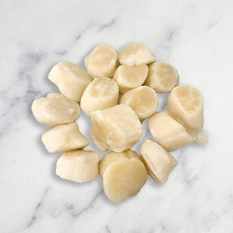 Large Japanese Scallops