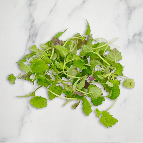 Lemon Balm Micro, 30g Nature's Choice Ltd GRGR-HERB-0000031-147