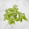 Lemon Verbena, 20g Nature's Choice Ltd GRGR-HERB-0000030-147