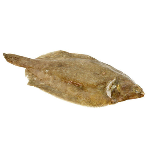 Whole Lemon Sole, Fresh, 2 x 400/600g Reach Food Service Ltd SEAF-FRFI-0000119-147