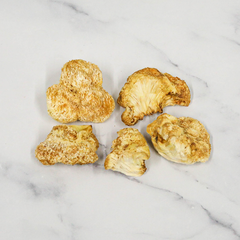 Lion's Mane Mushrooms, Dried Edible Fungus Co Ltd LIONS-170523-149