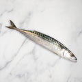 Mackerel, Large, Fresh, +/-1kg Reach Food Service Ltd SEAF-FRFI-000-2736-147