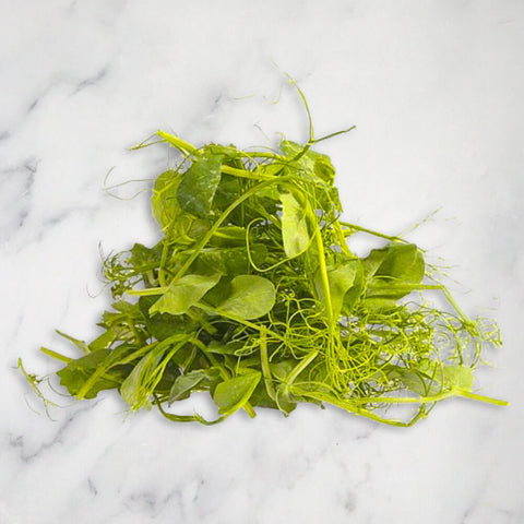Micro Tendril Pea Shoots Punnet, 100g Nature's Choice Ltd GRGR-HERB-0001434-147