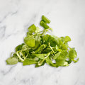 Watercress Micro Herb, 100g Nature's Choice Ltd GRGR-MIHE-0001609-147