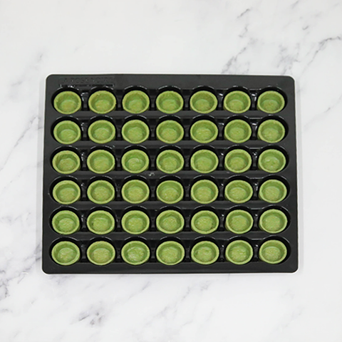 Mini Green Tea Tart Shells, (35mm) x 42