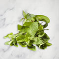 Mint, 100g Nature's Choice Ltd GRGR-HERB-0000328-147
