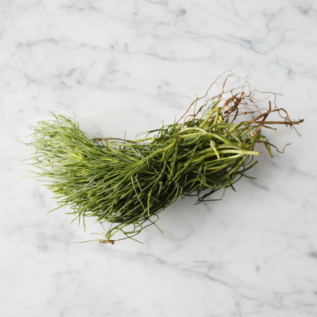 Buy Monk's Beard Online | Fine Food Specialist