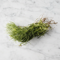 Monk's Beard, x 1 Bunch fine food specialist