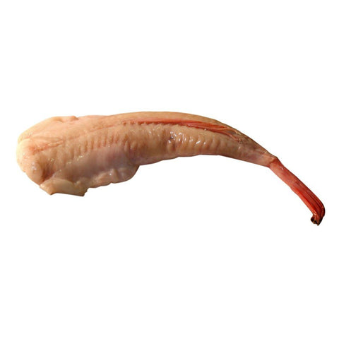 Wild Monkfish Tail, Fresh, 1-2kg Reach Food Service Ltd SEAF-FRFI-0000073-147