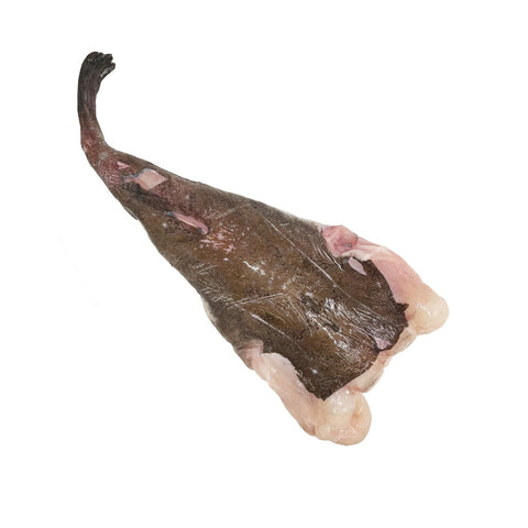 Wild Monkfish Tail, Fresh, 1-2kg