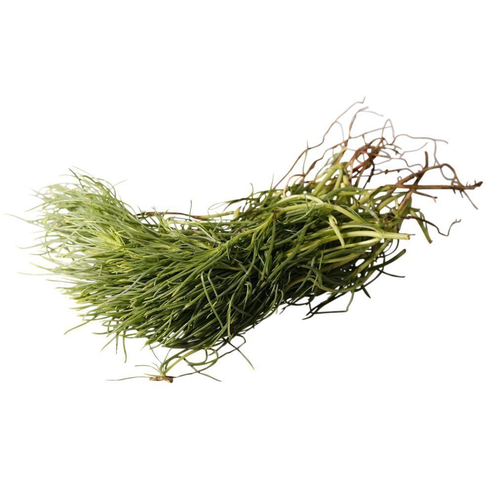 Buy Monk's Beard Online | Fine Food Specialist