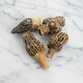 Morel Mushrooms, Frozen, (2-7cm), 1kg Ritter Courivaud Ltd MUSH-FROMU-0000099-148