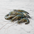 Obsiblue Prawns, Sashimi Grade, Frozen, 500g (11/12 Pcs) Reach Food Service Ltd SEAF-SPSH-0002691-148