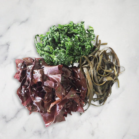 Ocean Mix Seaweed, Fresh, +/-1kg Smith and Brock EP-OEO3-TN6L