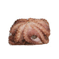Spanish Octopus, Raw, Frozen, 1-2kg Reach Food Service Ltd 28-9284-7N4D