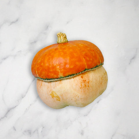 Ornamental Mixed Squash/Pumpkin, 3kg