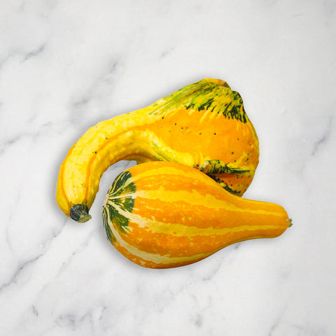 Ornamental Mixed Squash/Pumpkin, 3kg