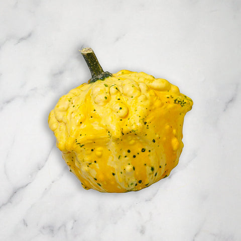 Ornamental Mixed Squash/Pumpkin, 3kg