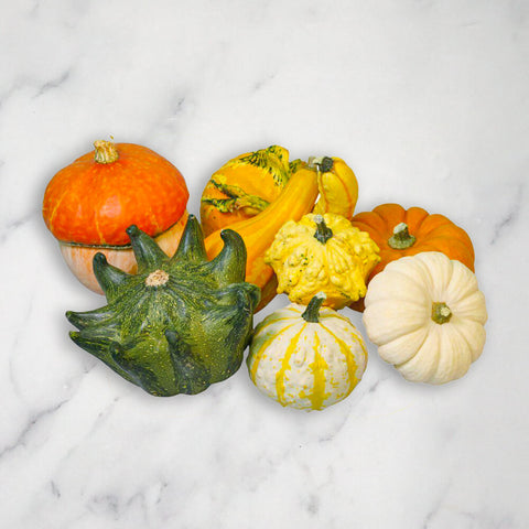 Ornamental Mixed Squash/Pumpkin, 3kg European Salad Company Limited GRGR-SPVG-0001959-147