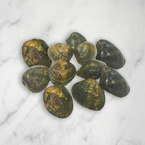 Palourde Clams, Fresh, 1kg Reach Food Service Ltd SEAF-SPSH-0000187-147