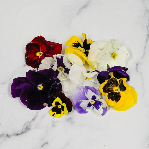 Pansy Flowers, x 1 Punnet