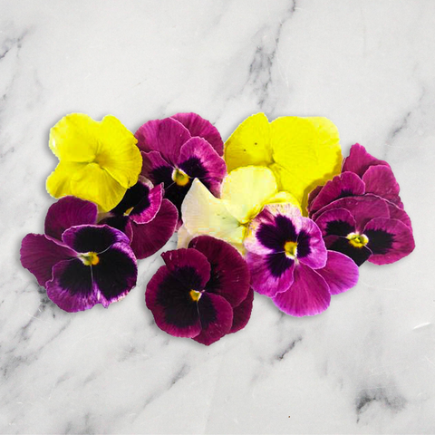 Pansy Flowers, x 1 Punnet Nature's Choice Ltd GRGR-EDFL-0000324-147