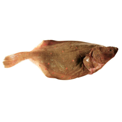 Wild Plaice, 2 x +/- 450-650g Reach Food Service Ltd SEAF-FRFI-0003498-147